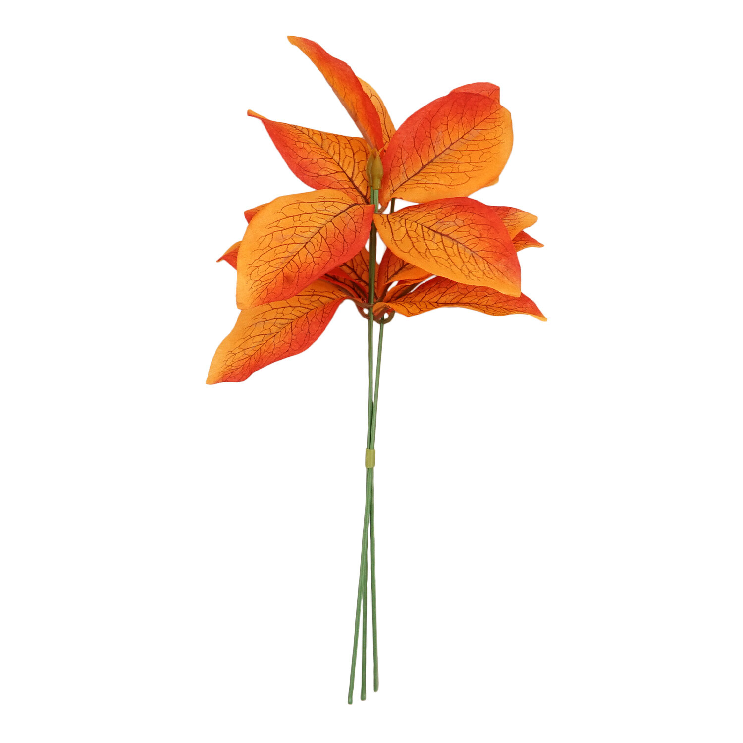 Small Eucalyptus Bundle Wilko