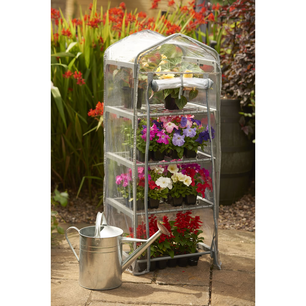 Wilko Mini Greenhouse W50 x H130 x D45cm Image 2