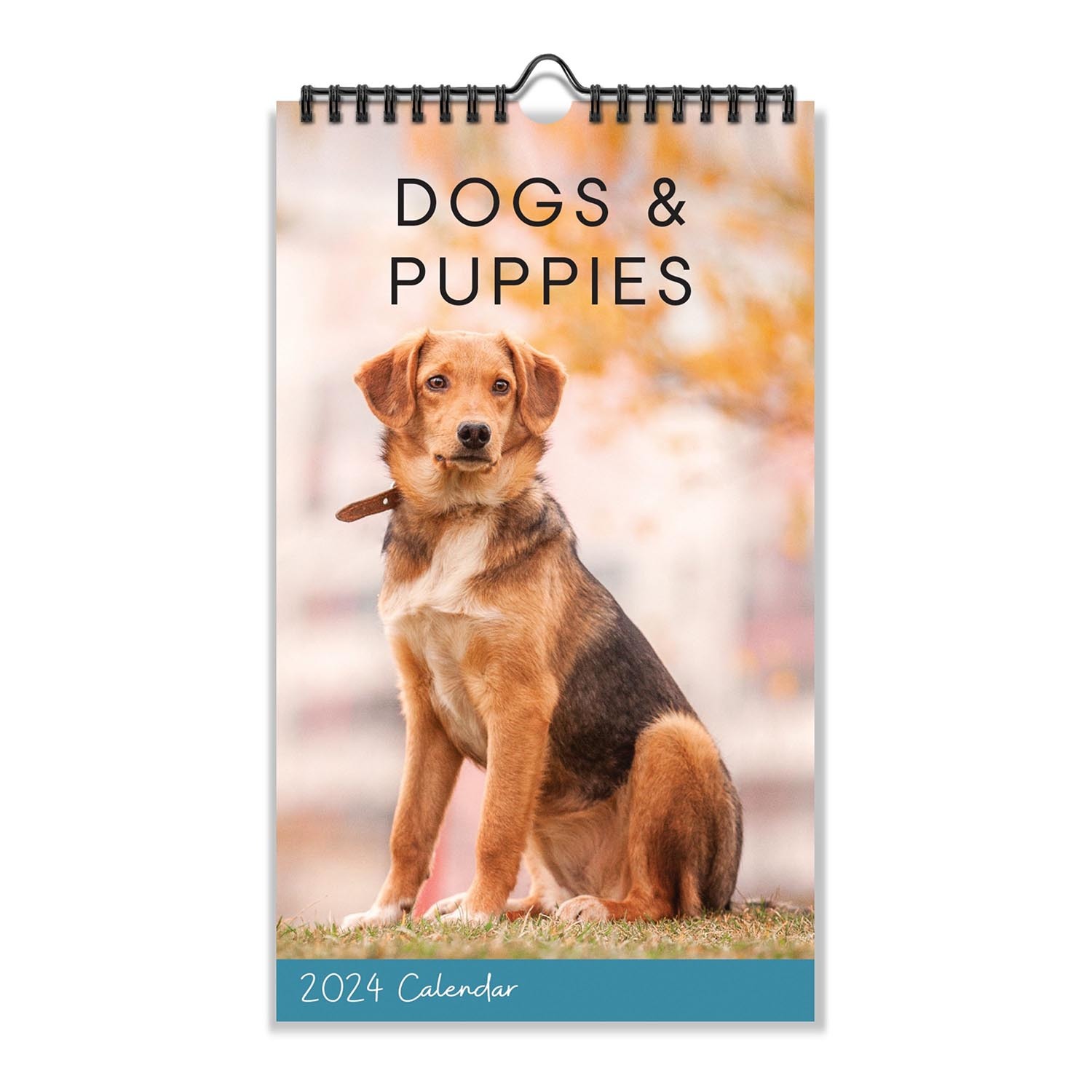 Cats and Dogs Midi Spiral Calendar Image 5
