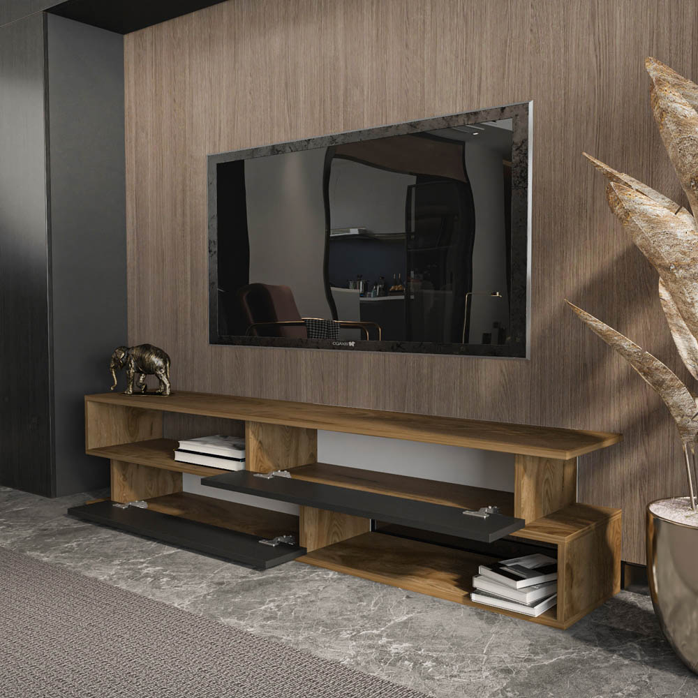 Decorotika Cortez 2 Door 2 Shelf Black and Oud TV Unit Image 5