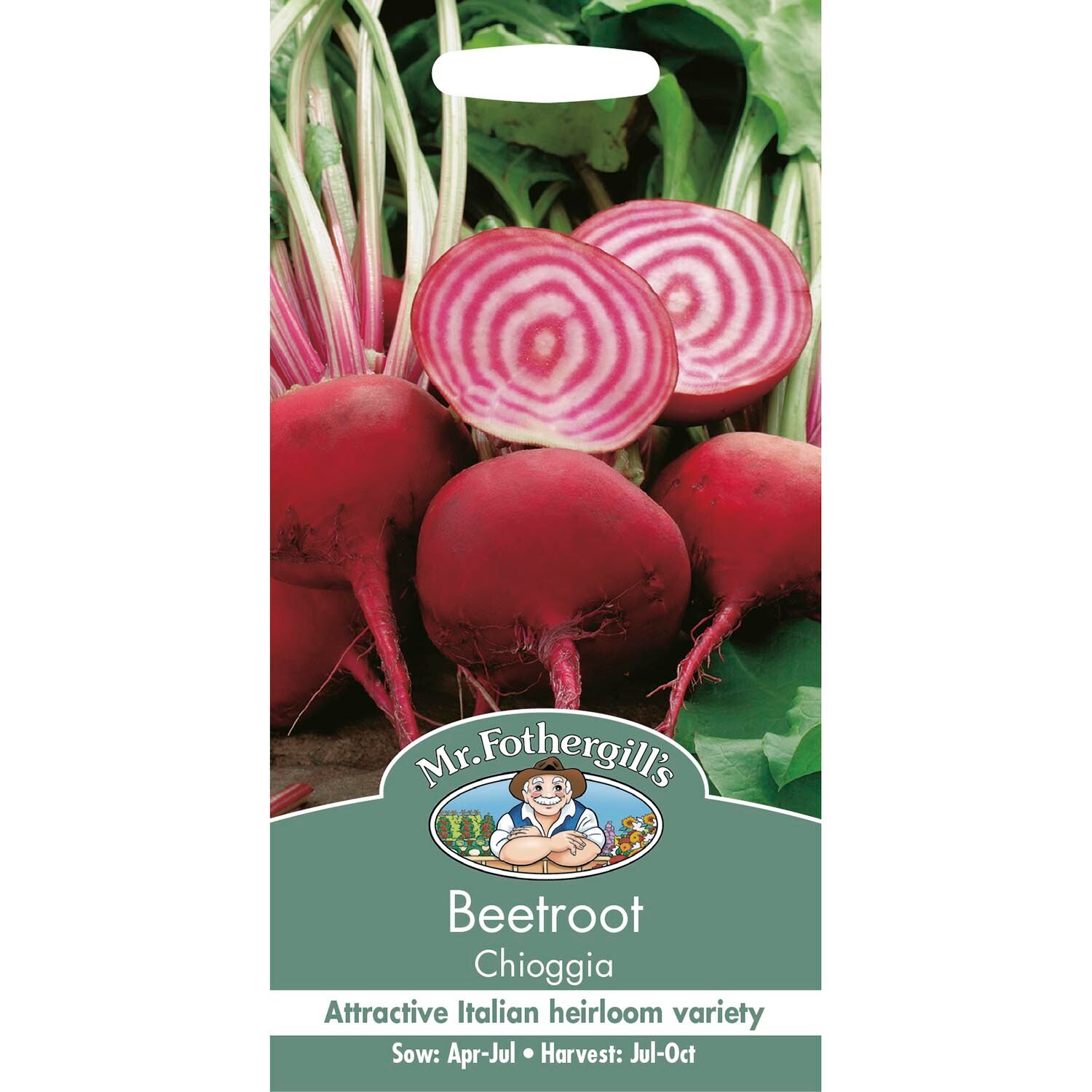 Mr Fothergill's Seeds Beetroot Chioggia Image 1