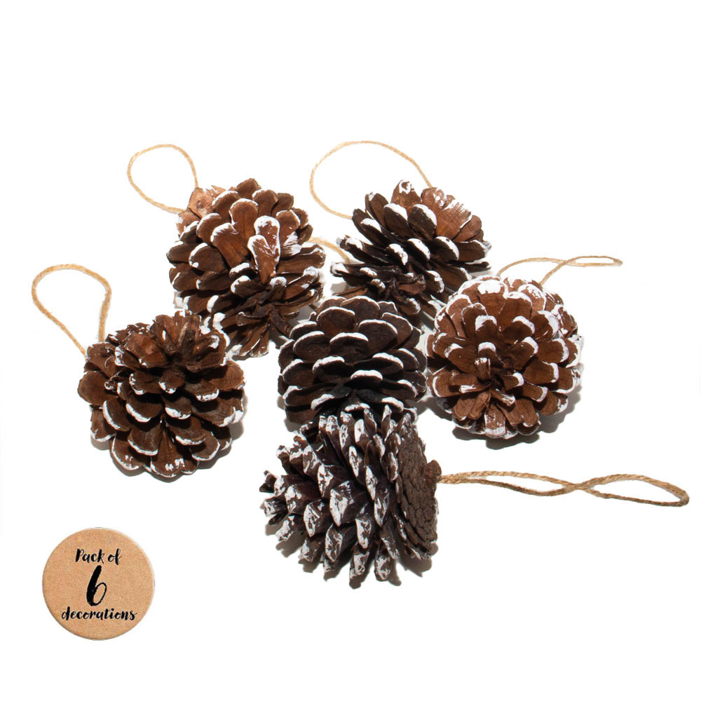 St Helens White Hanging Pine Cone Decoration 6 Pack Image 1