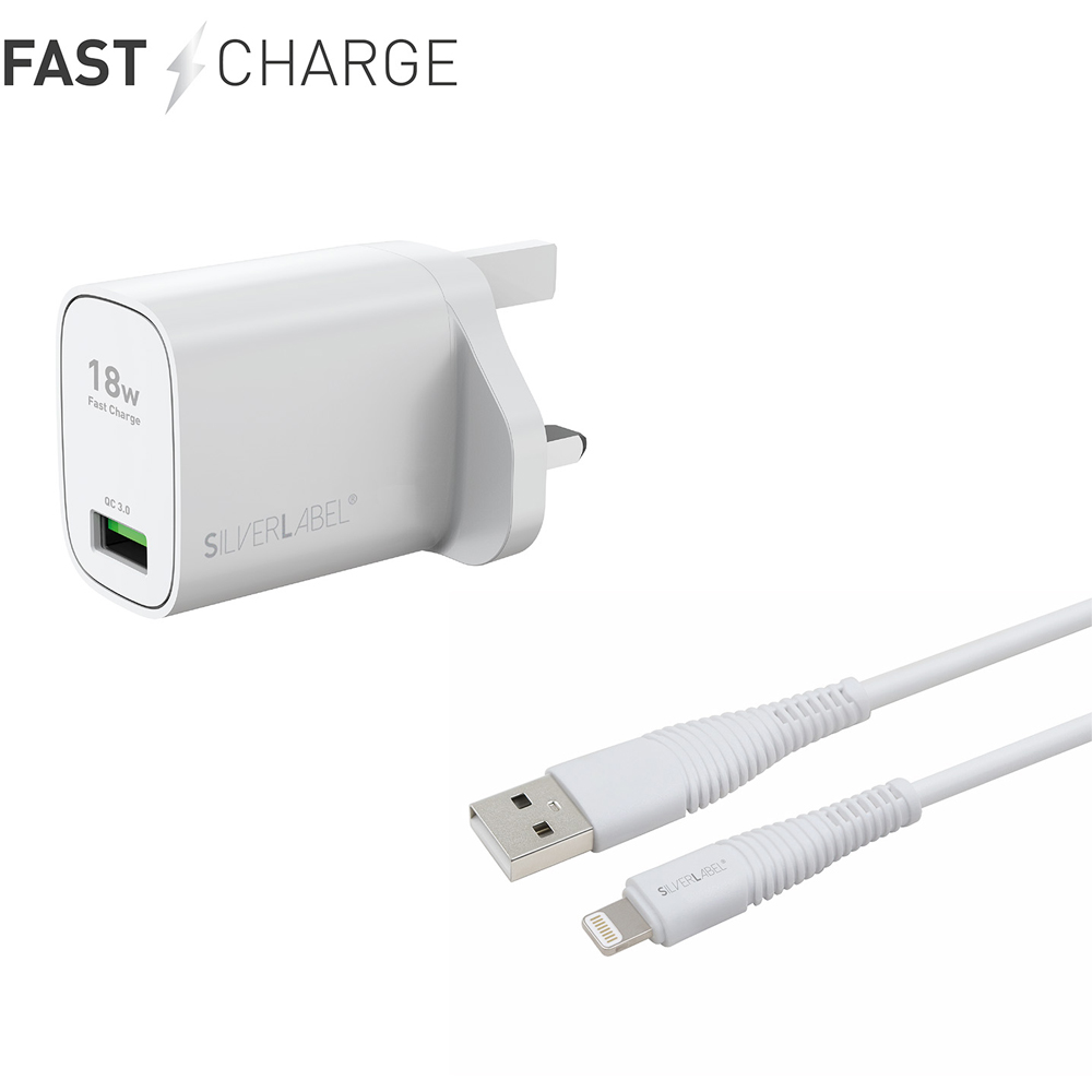 SilverLabel White Mains Charger and Lightning Cable Bundle Image 4