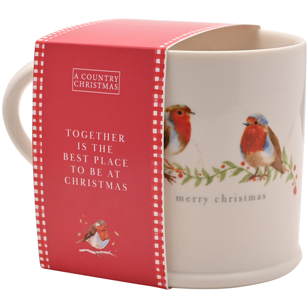 The Seasonal Gift Co. Robin Together Mug Image 3