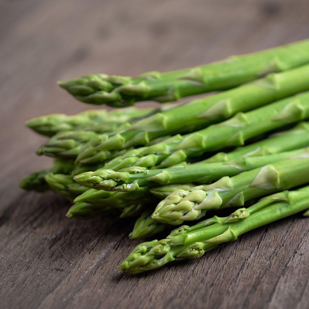 Thompson and Morgan Asparagus Officinalis Mondeo Crown Image 1