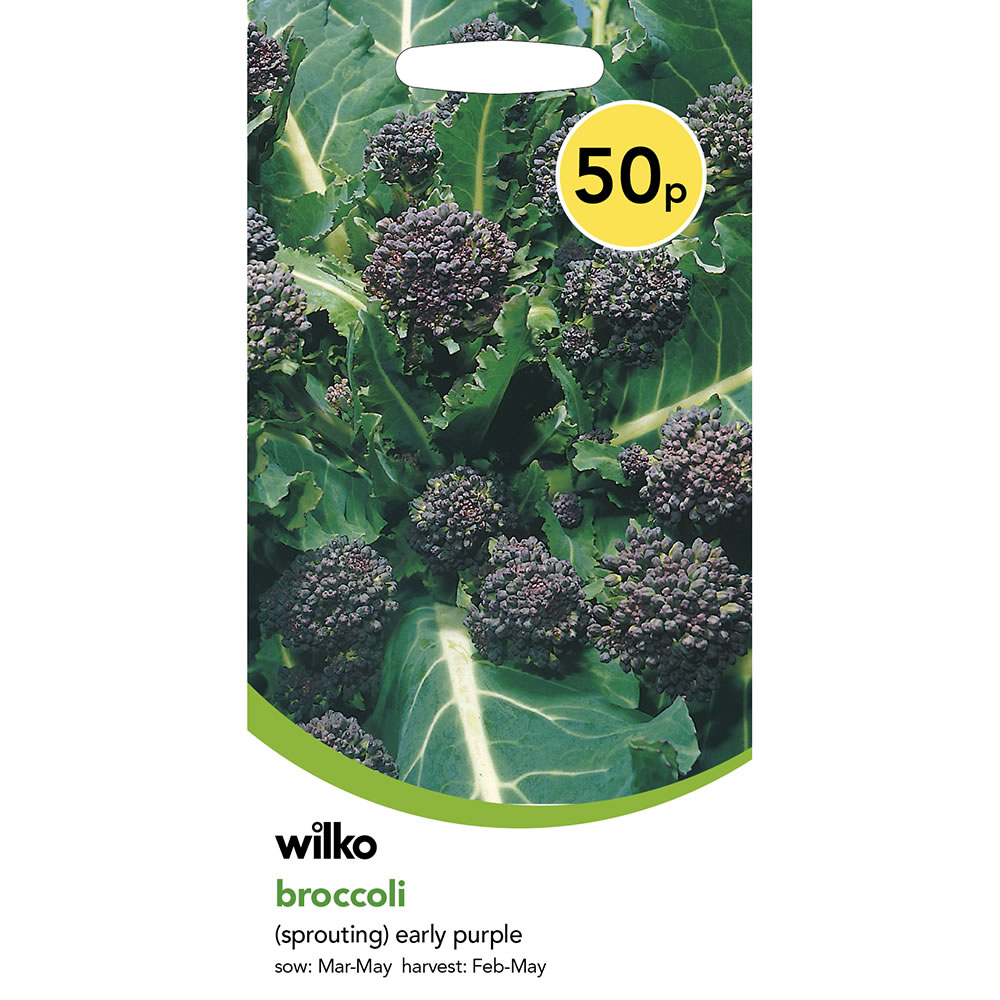 Wilko Broccoli Early Purple Sprouting Seeds Image 2