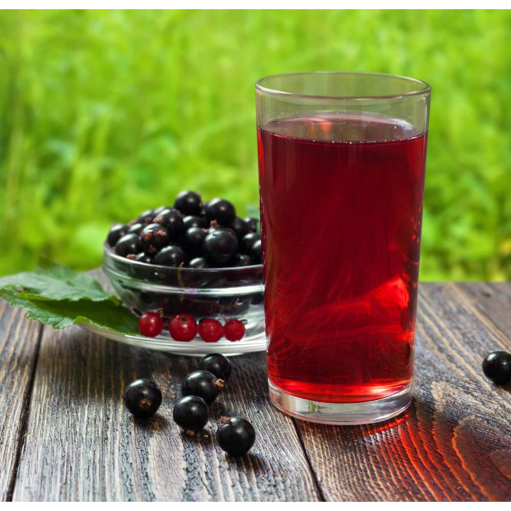 Thompson and Morgan Blackcurrant Ribes Titania Plant Pot 9cm Image 2