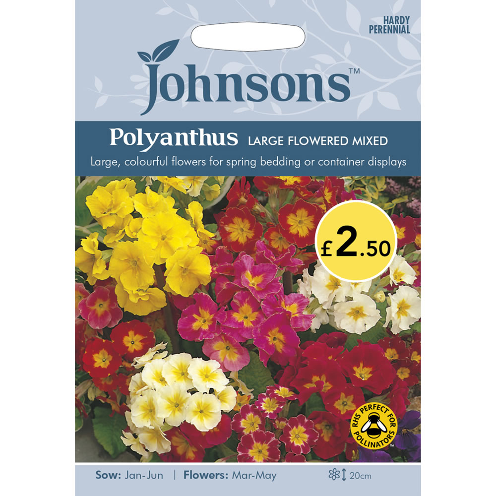 Johnsons Polyanthus Large Flowered Seeds Wilko
