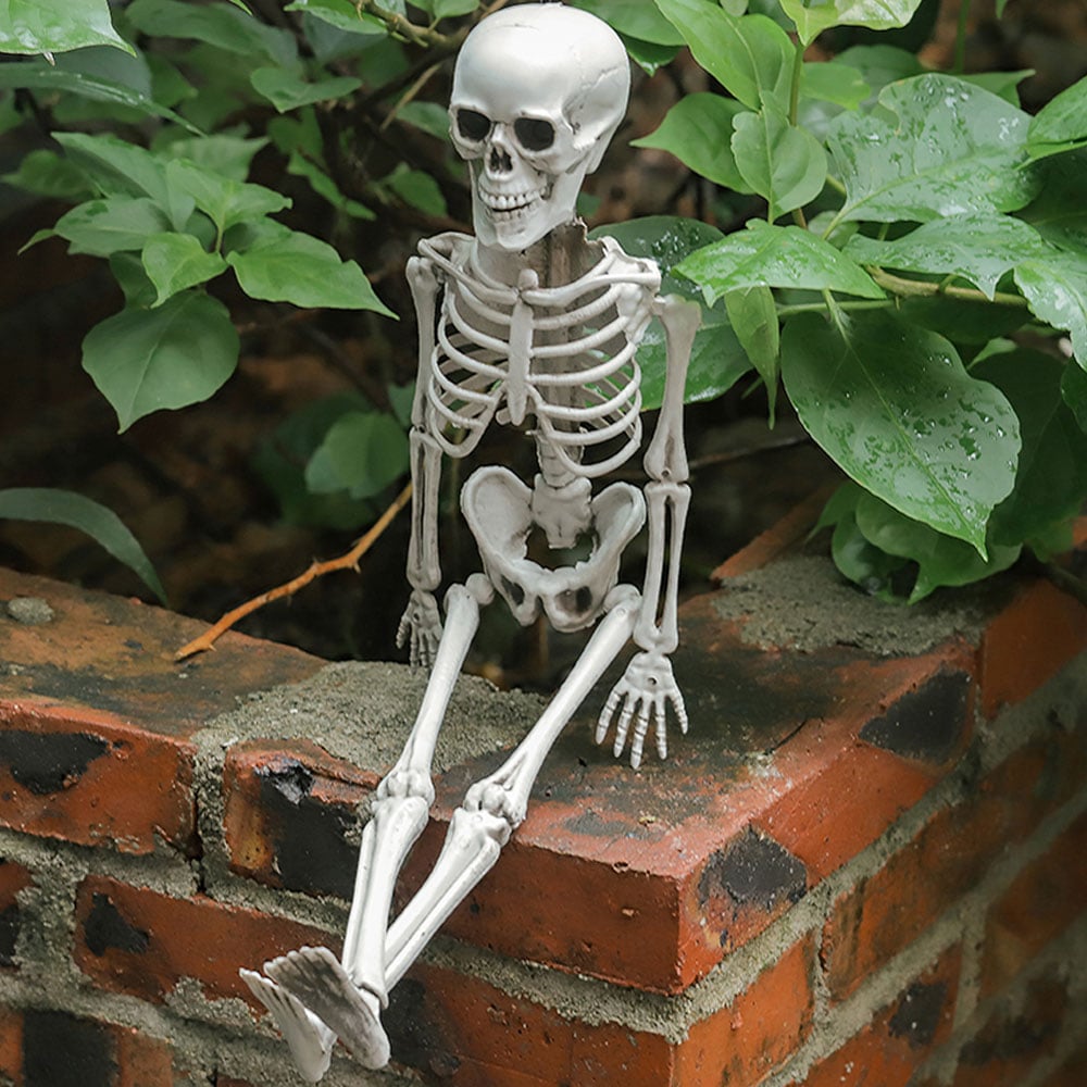 Living and Home Halloween Human Anatomy Skeleton 40cm Image 7