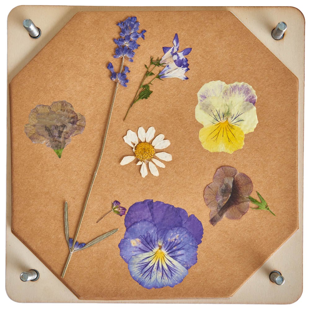 Wilko Flower Press Kit Image 3