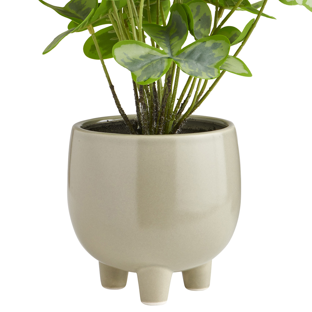 Soft Sanctuary Faux Plant In Footed Pot Image 5