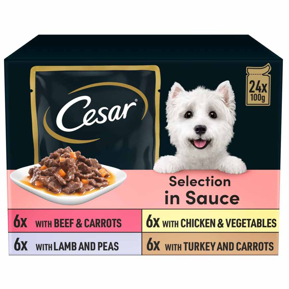 Cesar Selection in Sauce Wet Dog Food 24 x 100g Image 1