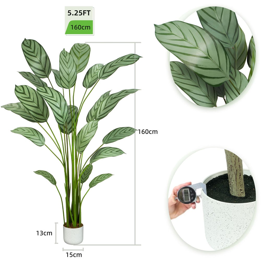 wilko Bird of Paradise Artificial Indoor Plant 160cm Image 7