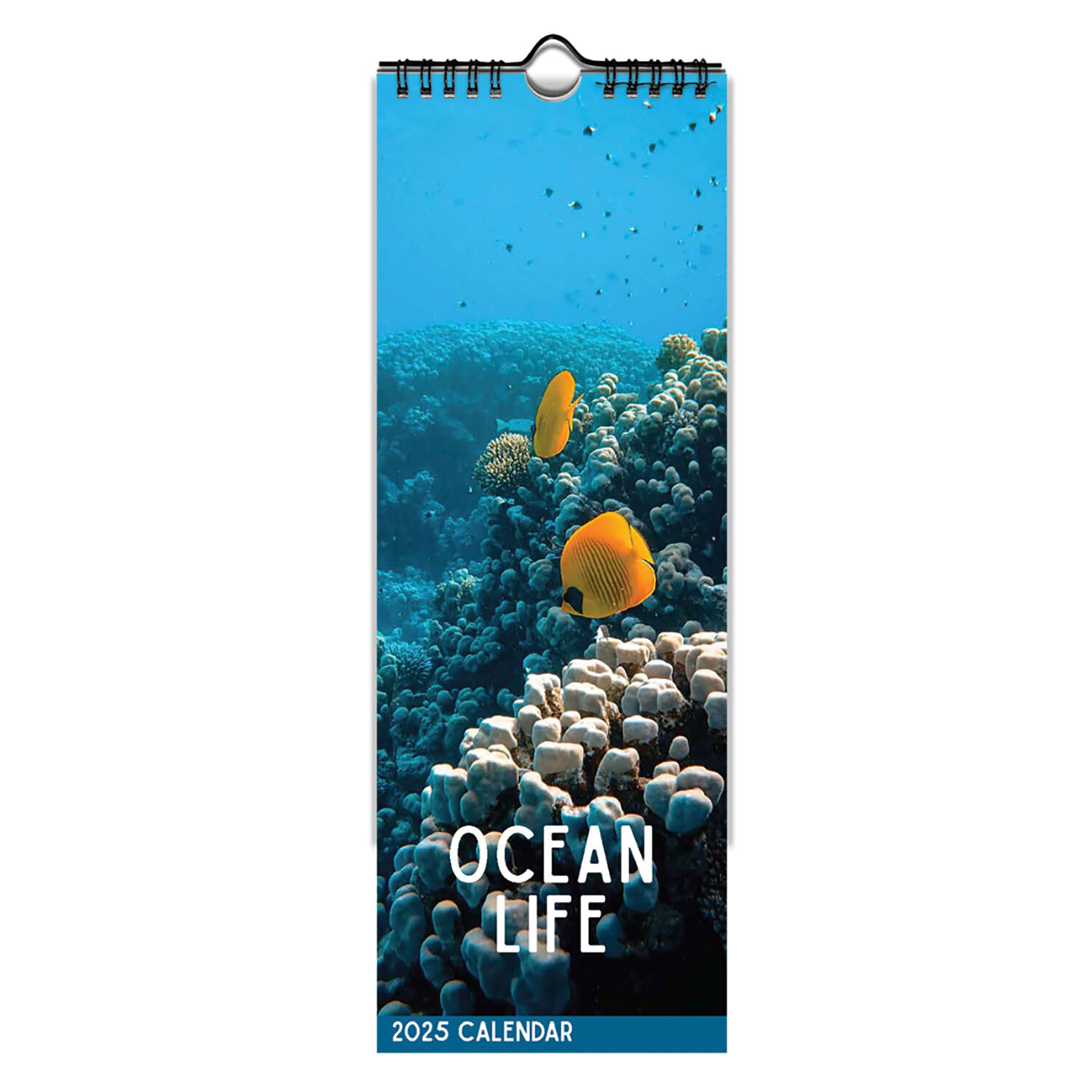 2025 Wildlife Slimline Spiral Calendar - Multicolour Image 5
