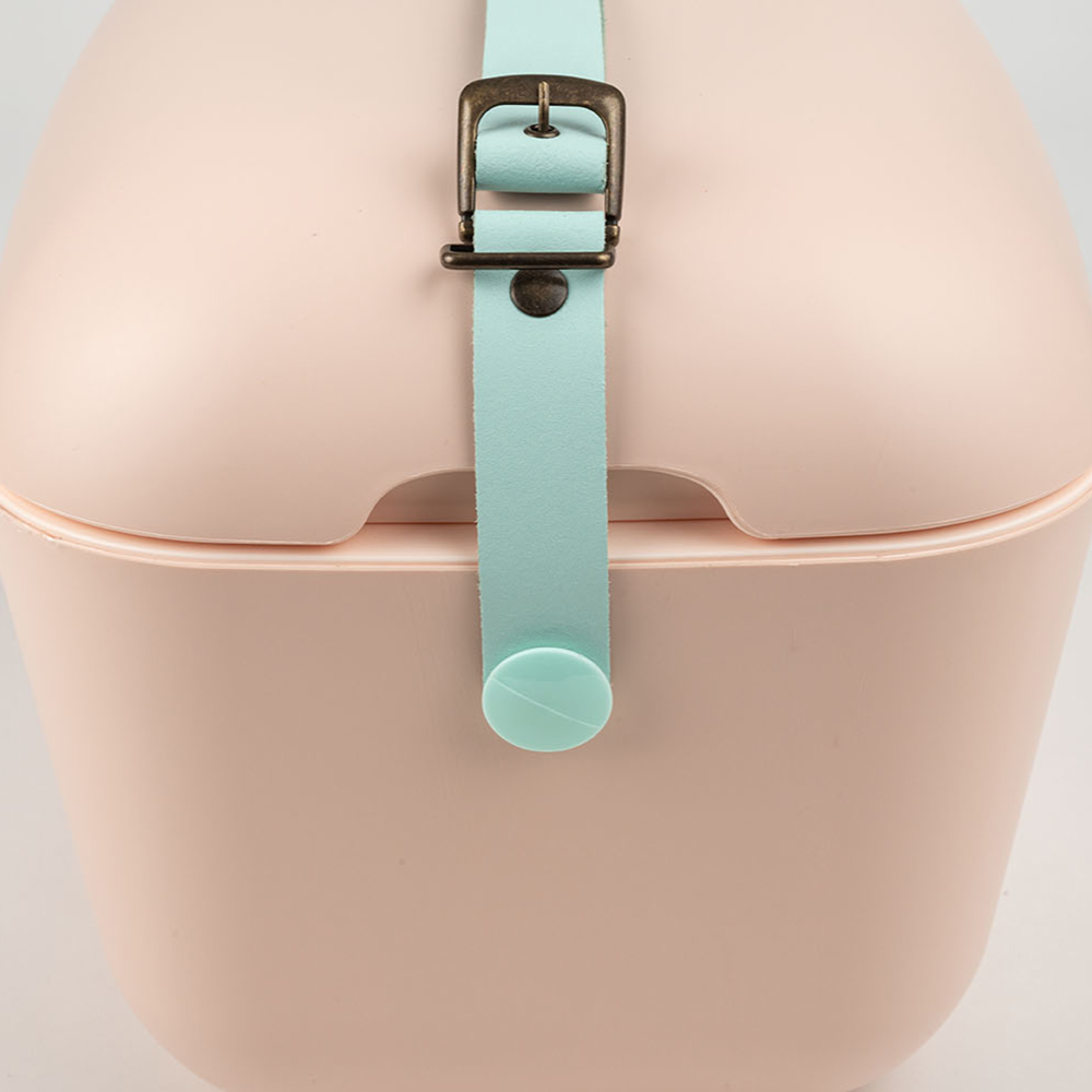 Polarbox 12L Nude and Cyan Retro Portable Coolbox Image 4