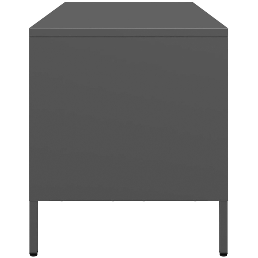 vidaXL 2 Drawer 2 Shelf Black Steel Industrial Style TV Cabinet Image 5