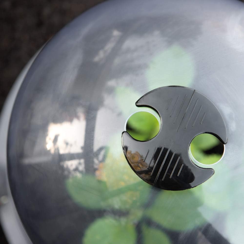 Garden Gear Bell Cloche 33.5 x 30cm 5 Pack Image 4