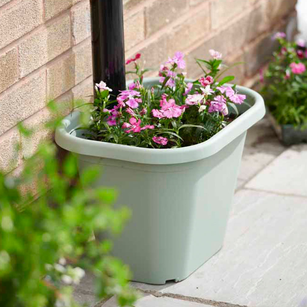 Clever Pots Sage Green Plastic Downpipe Plant Pot 20L Image 6