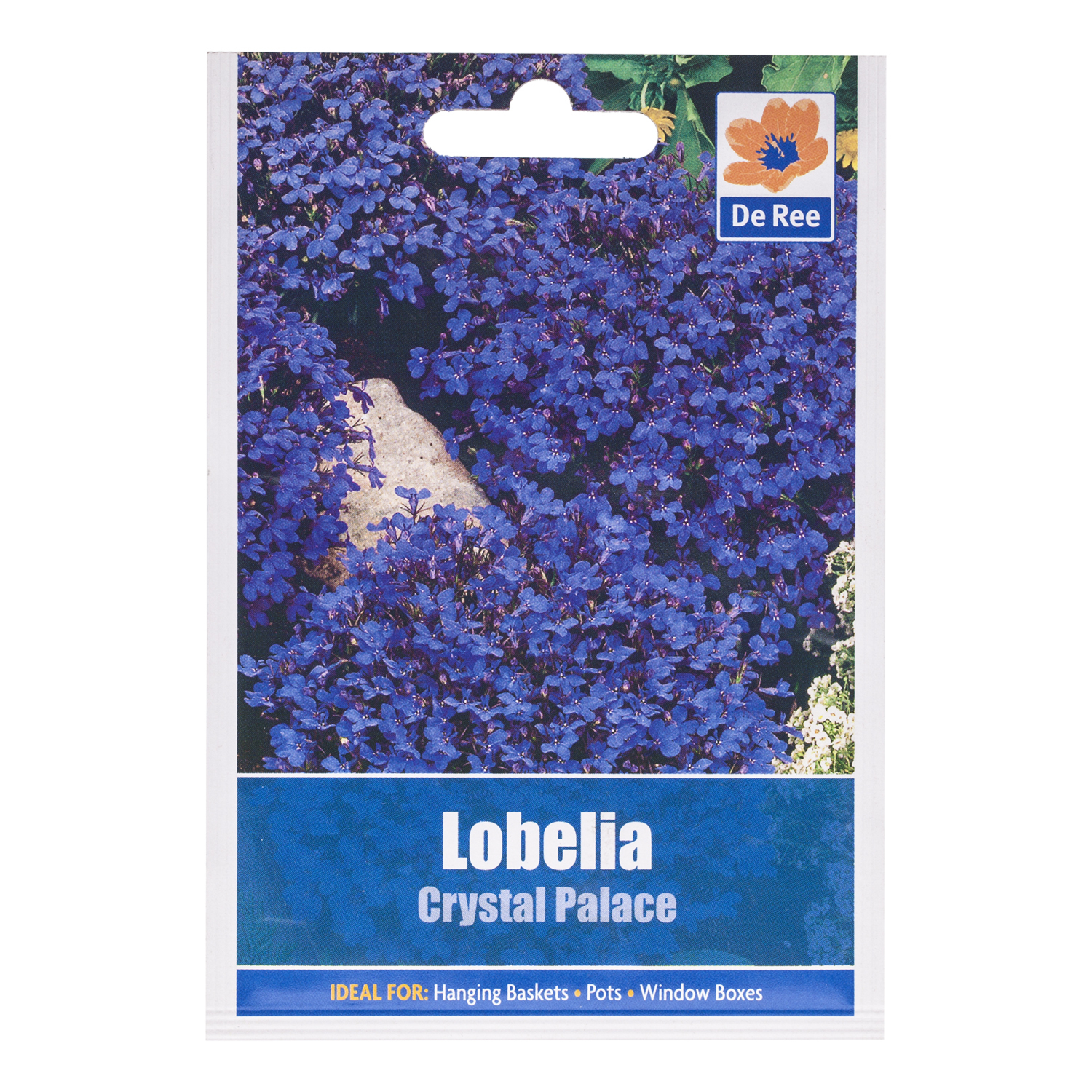 Lobelia Crystal Palace - Blue Image