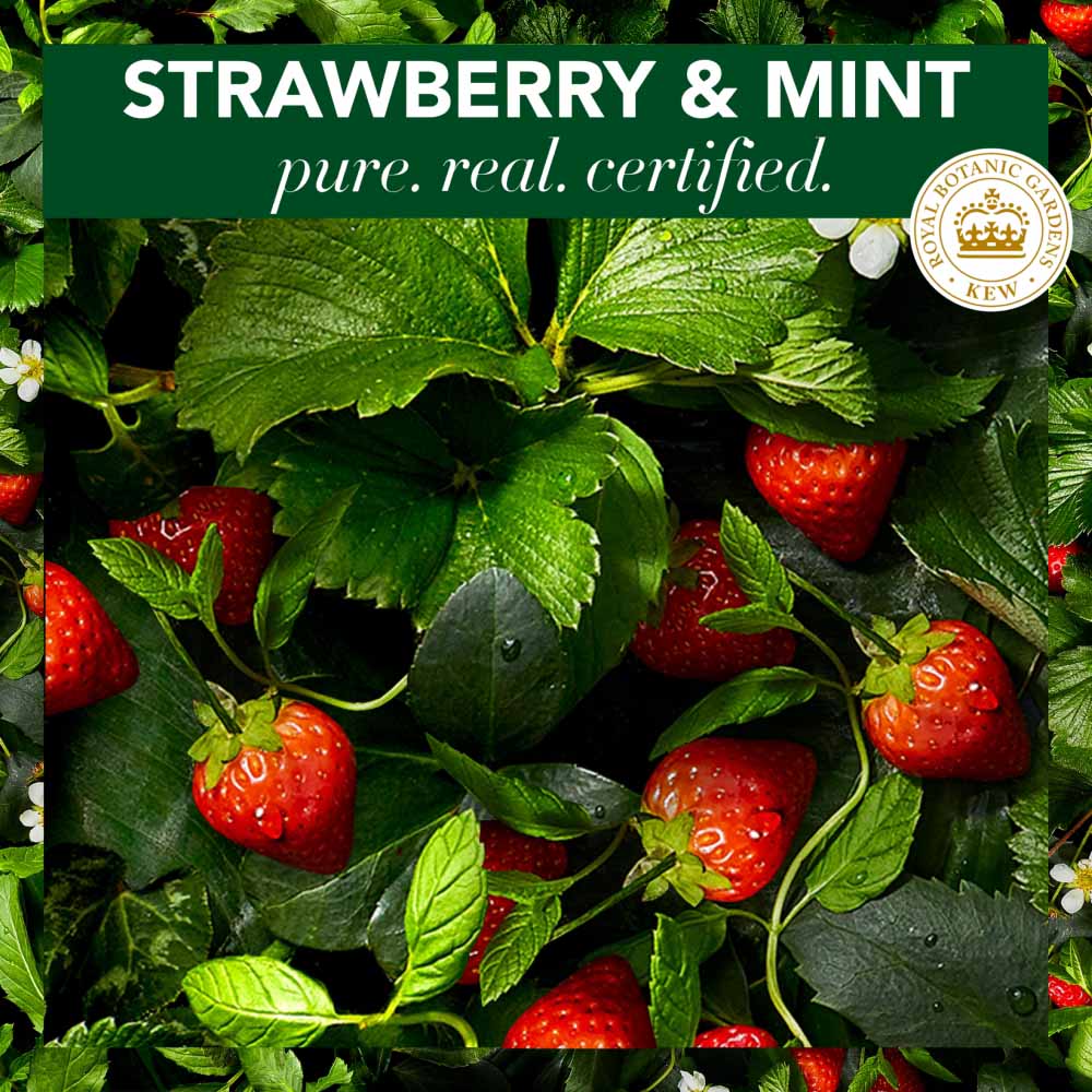 Herbal Essences Bio Renew Strawberry and Mint Shampoo 400ml Image 5
