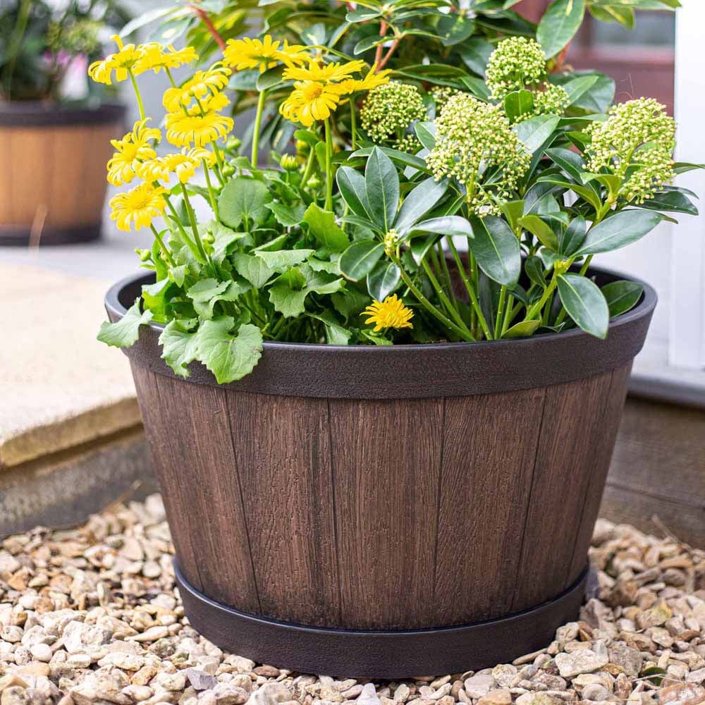 Plant Avenue Oban Dark Oak Whiskey Barrel Planter 45cm Image 2