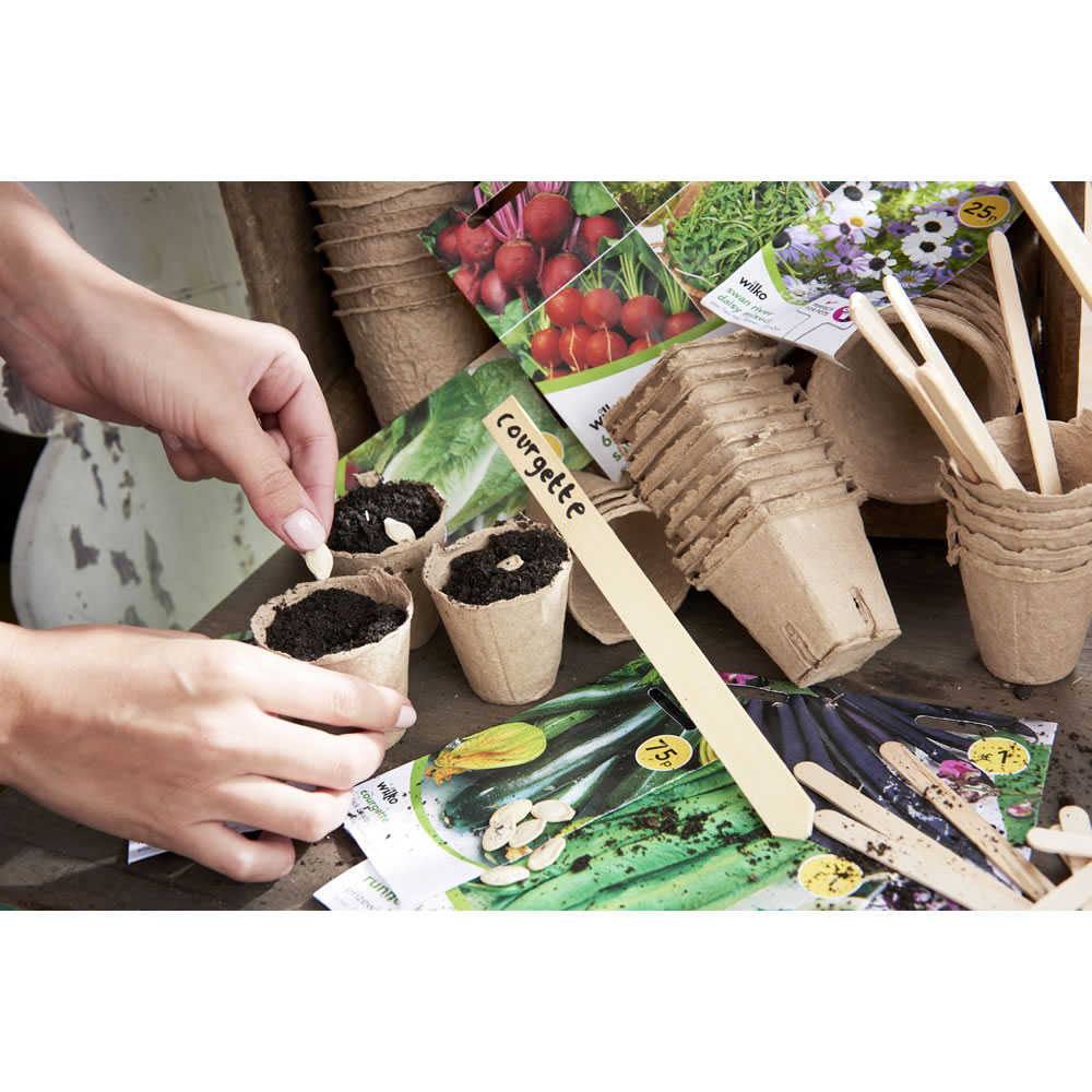 Wilko Round Fibre Plant Pot 6cm 24 Pack Wilko