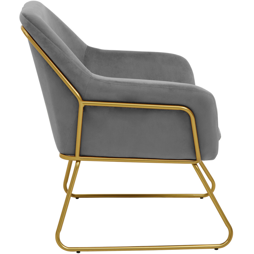 Premier Housewares Xander Grey Velvet Modern Accent Chair Image 2