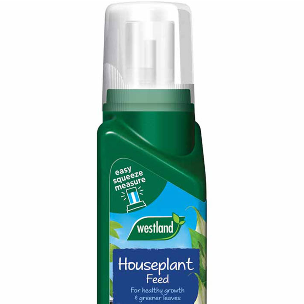 Westland House Plant Feed Concentrate 200ml Image 2