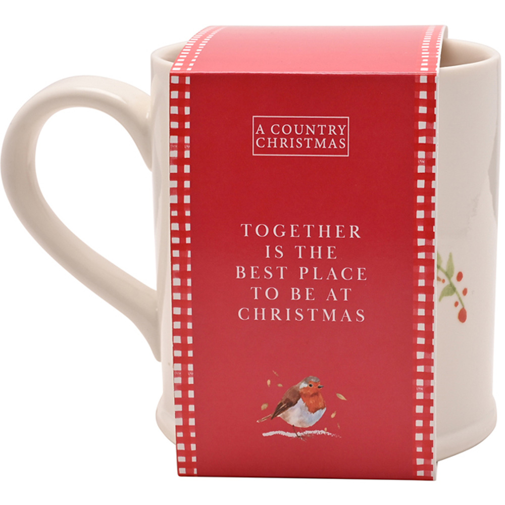 The Seasonal Gift Co. Robin Together Mug Image 2