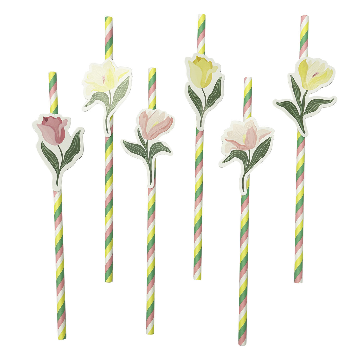 Pack of 6 Tulip Paper Straws - Multicolour Image 1
