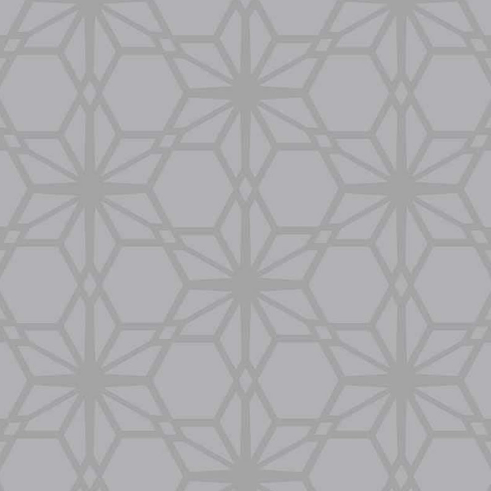 Wilko Star Flower Grey Wallpaper Image 1