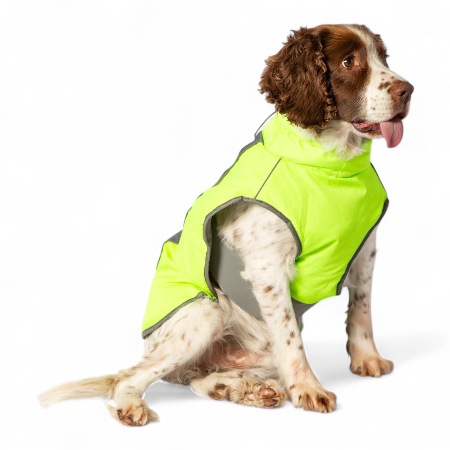 High Visibility Padded Dog Jacket Neon Green S Image 4