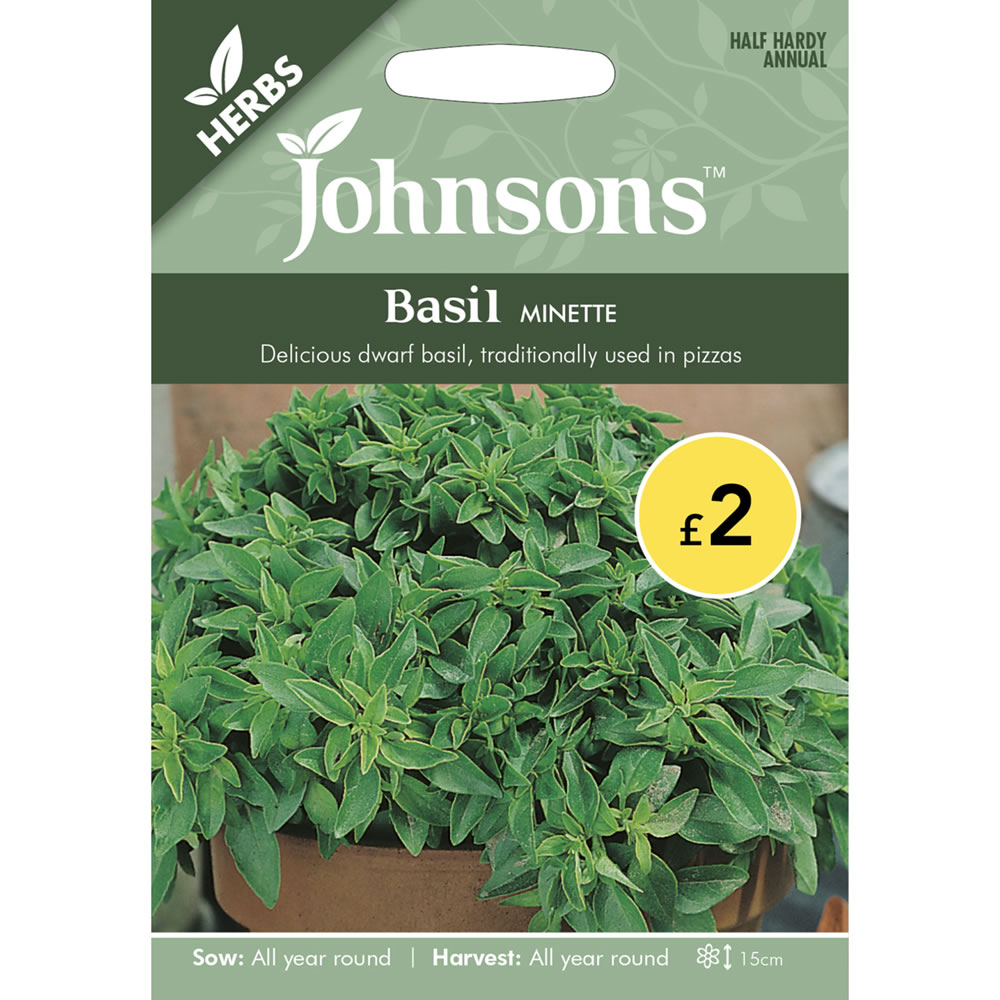 Johnsons Basil Minette Seeds Image 2