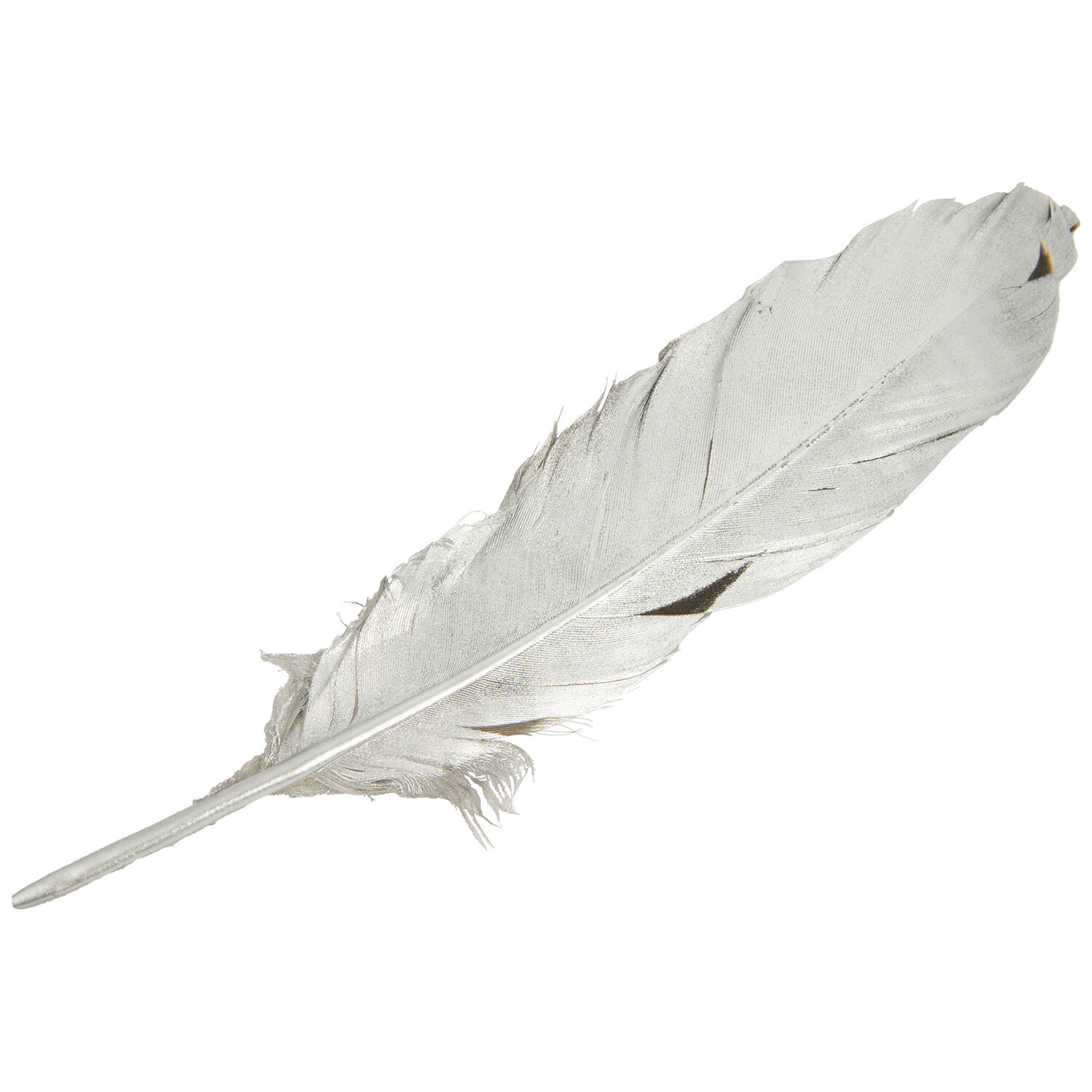 Pack of 6 True Moments Gold or Silver Feathers Image 9