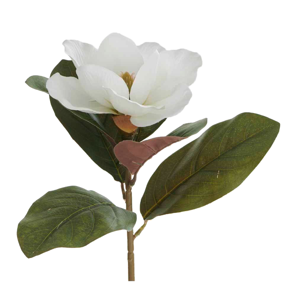 Wilko Magnolia White Single Stem Image 1