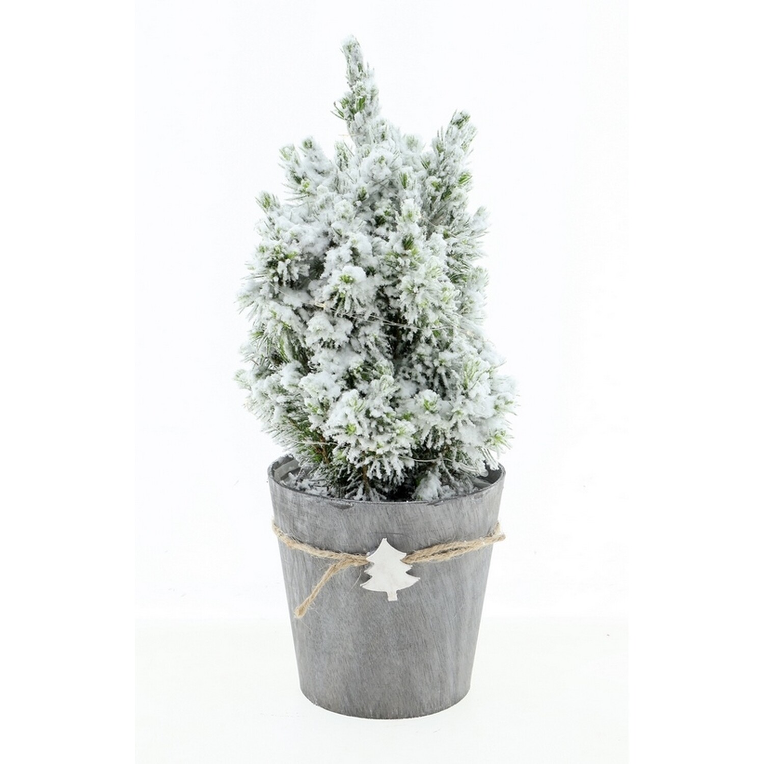 13cm Snow Covered Picea in Wooden Pot - White Image