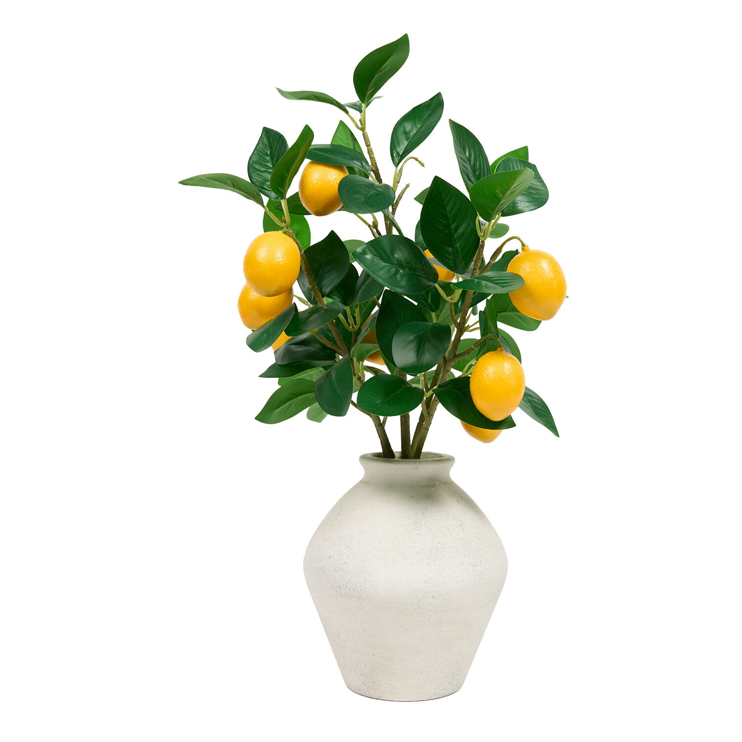 Potted Faux Citrus Tree Image 5