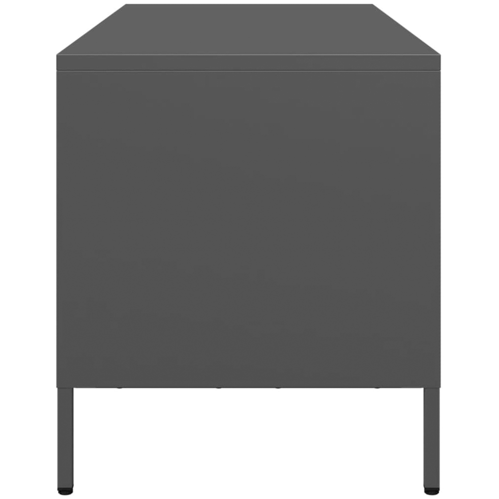 vidaXL 2 Drawer 2 Shelf Black Steel Industrial Style TV Cabinet Image 5