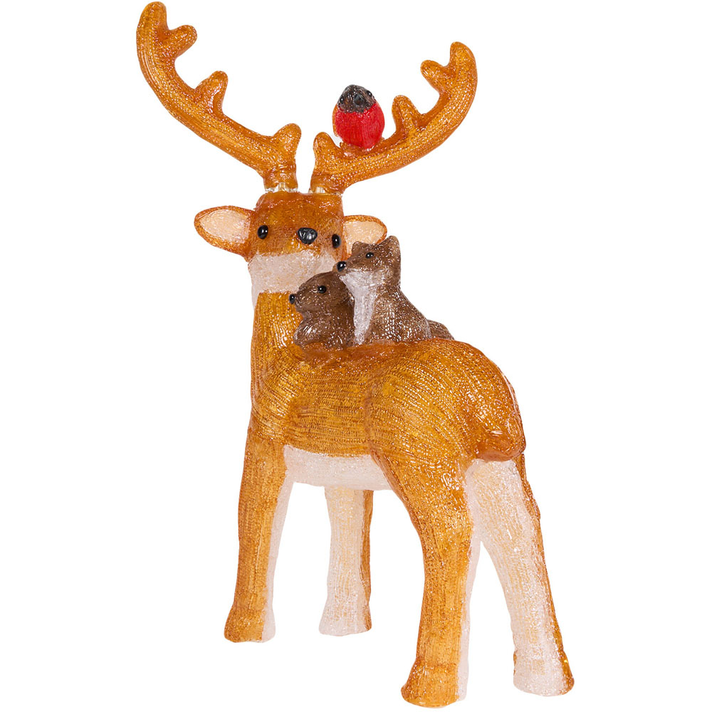Acrylic Stag and Friends - Cool White Image 4