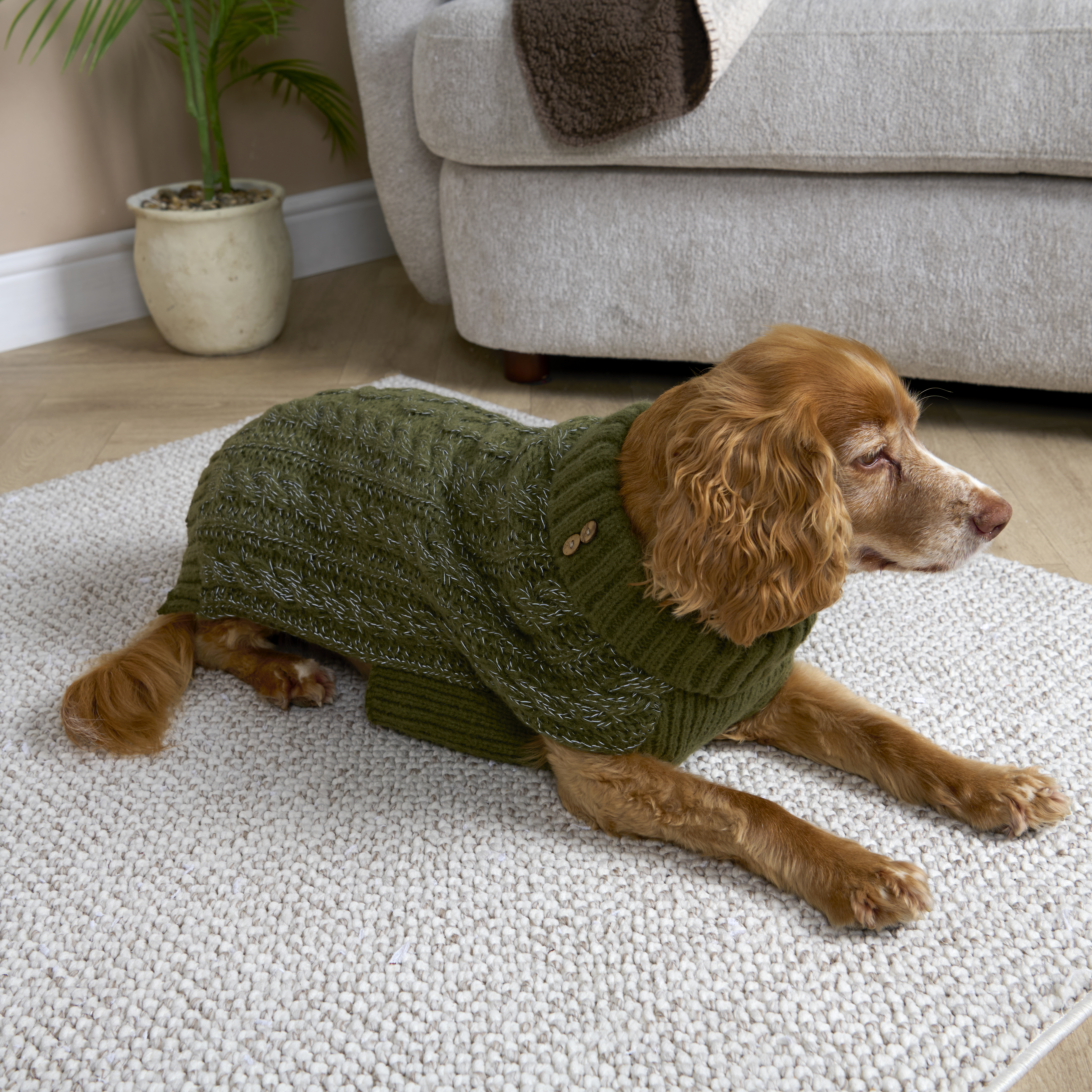 Reflective Roll Neck Pet Jumper M Image 8