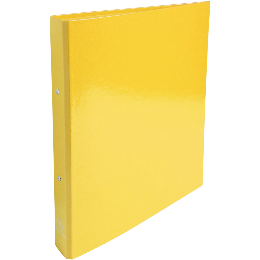 Exacompta Iderama A4 Assorted Colour 2R Ring Binder 10 Pack Image 4