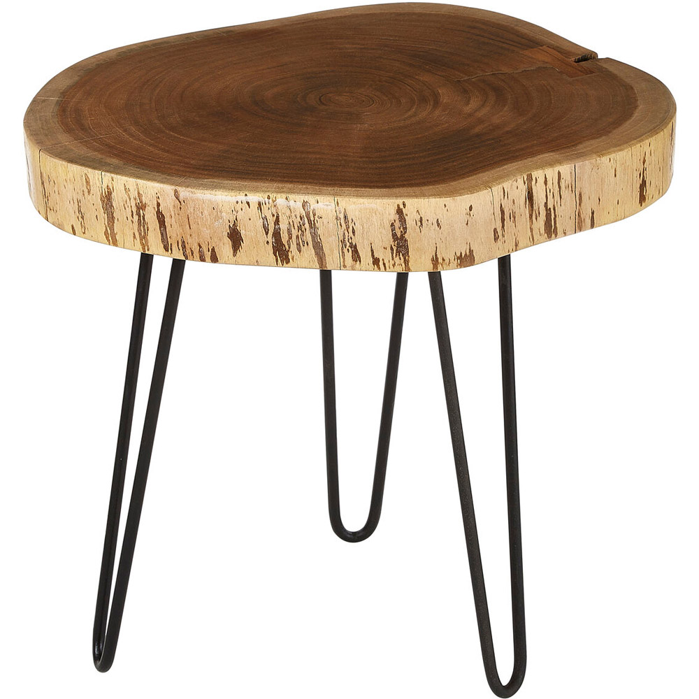 Premier Housewares Nandri Tripod Base Side Table Image 2