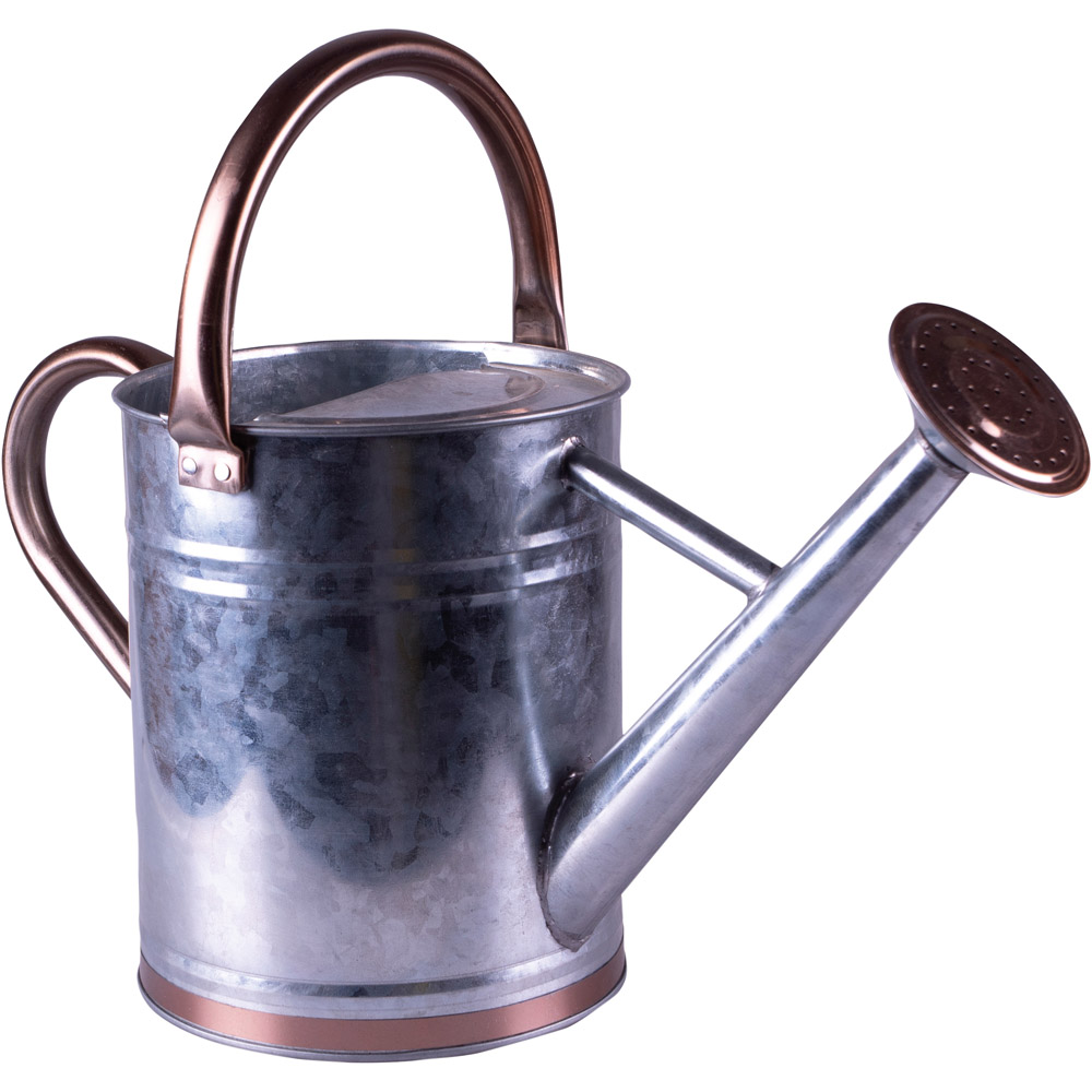 St Helens Silver Metal and Copper Accents Watering Can with Sprinkler Nozzle 4L Image 1