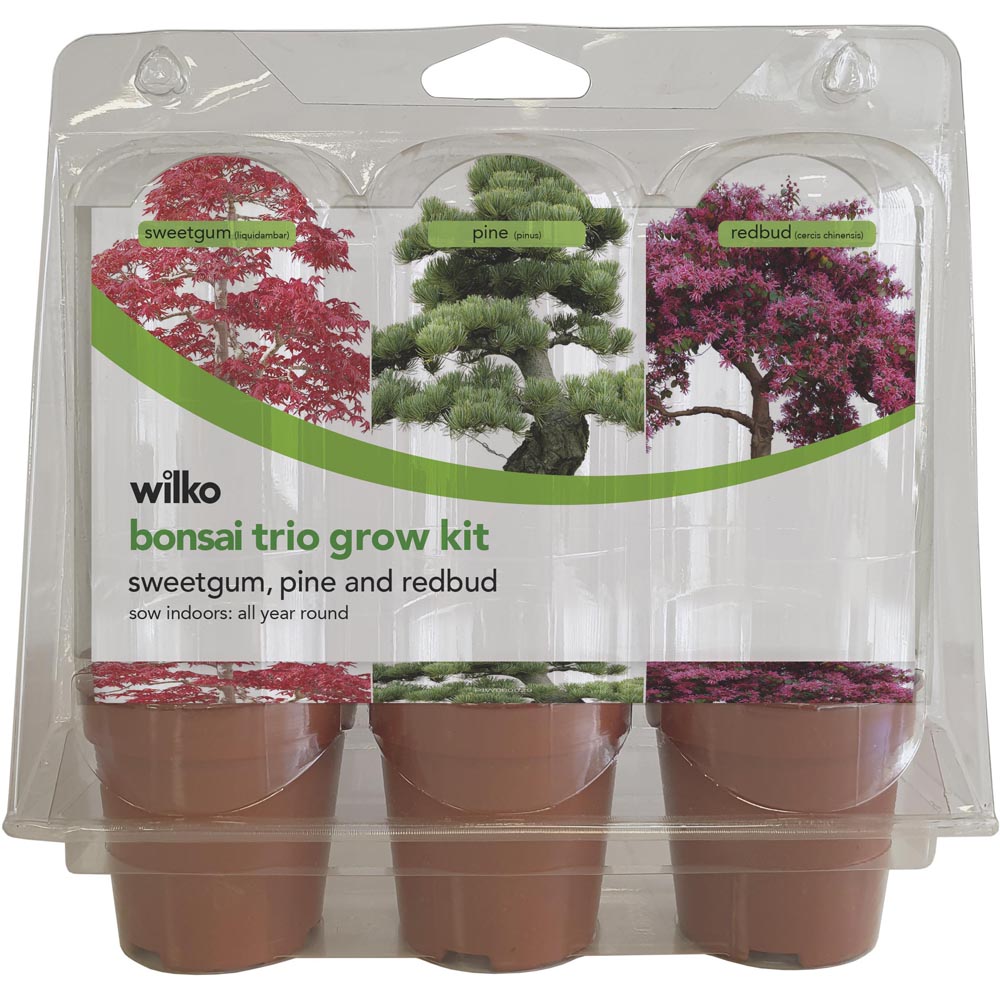 Wilko Grow Your Own Bonsai Trio Kit Image