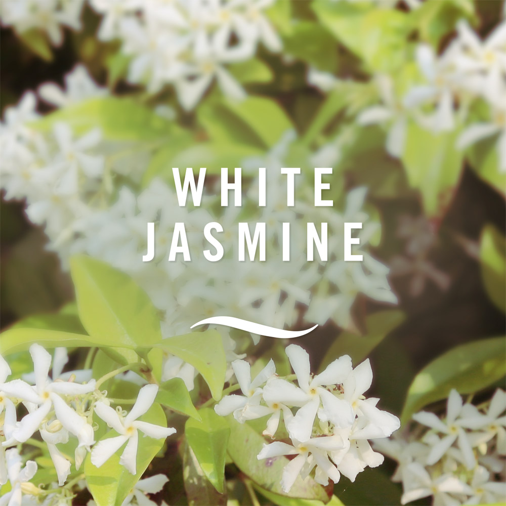 Febreze White Jasmine Fabric Freshener 375ml Image 7