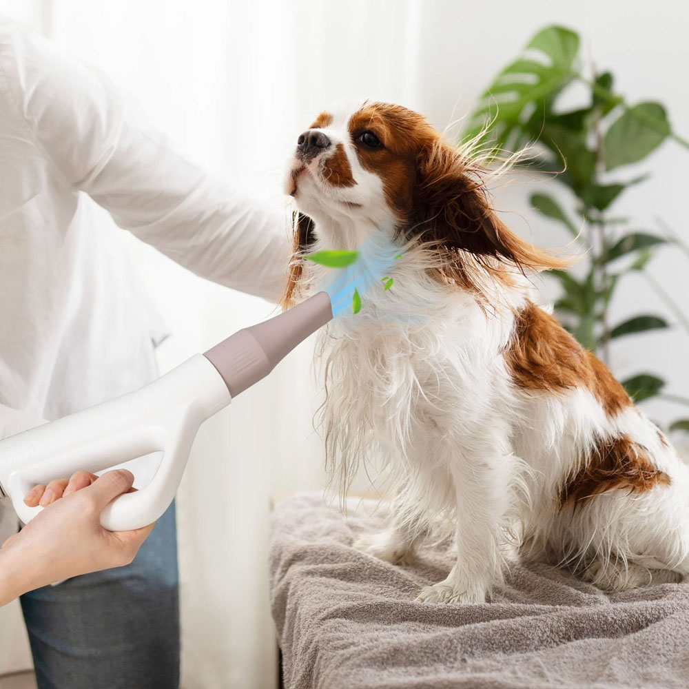 Costway Pet Hair Blower with Negative Ion Function Image 2