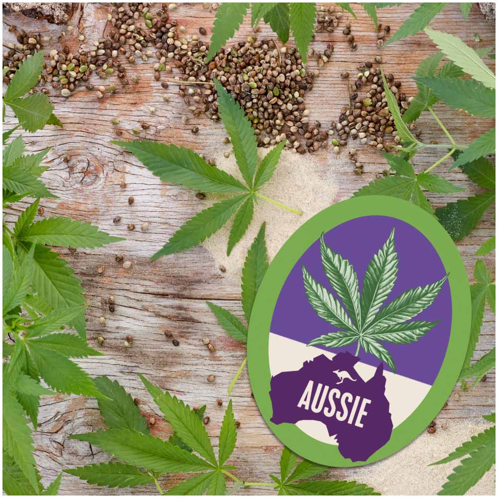 Aussie Calm the Frizz Hemp Conditioner 200ml Wilko