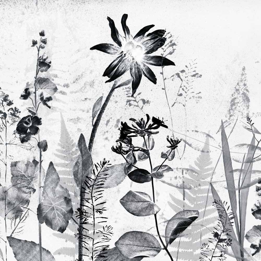 Art For The Home Flower Press Sketch Wall Mural Image 2