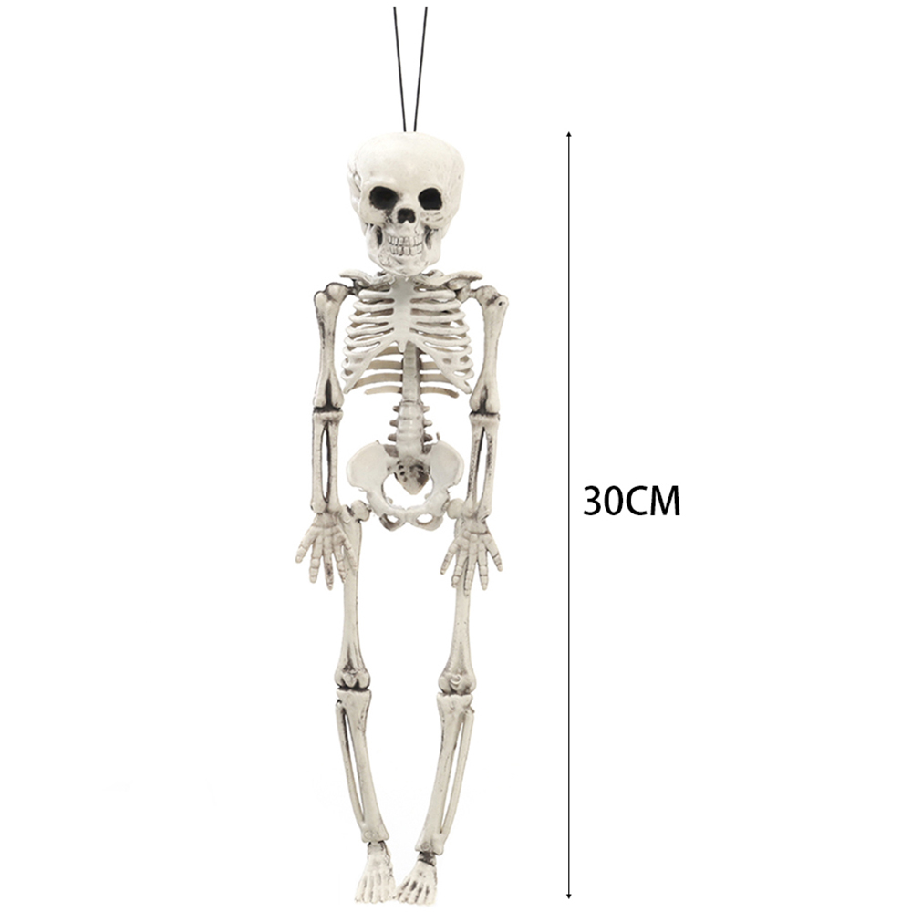 Living and Home Halloween Human Anatomy Skeleton 30cm Image 8