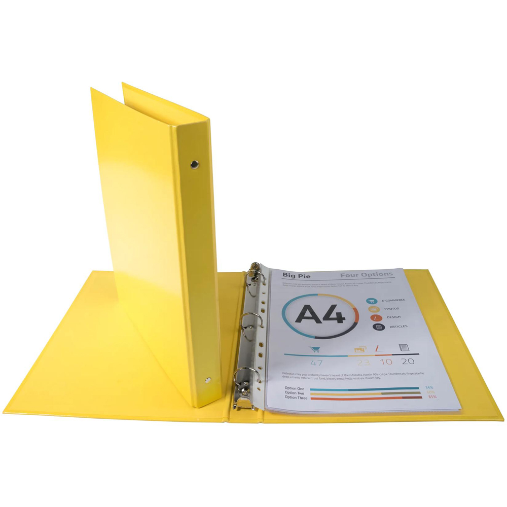 Exacompta Iderama A4 Assorted Colour 4 Ring Binder 40mm 10 Pack Image 4